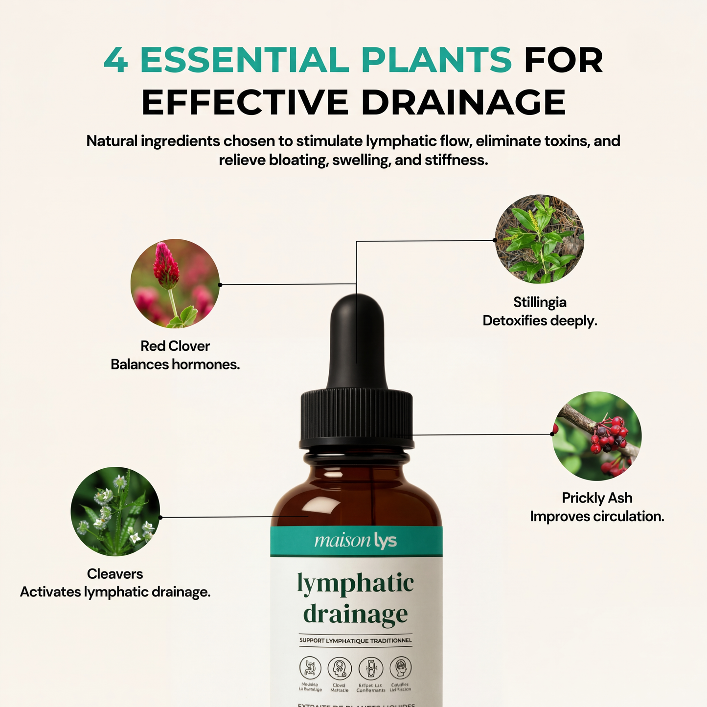 Lymphatic Drainage – 59 ml